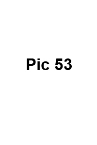 Baby Picture Photographer
